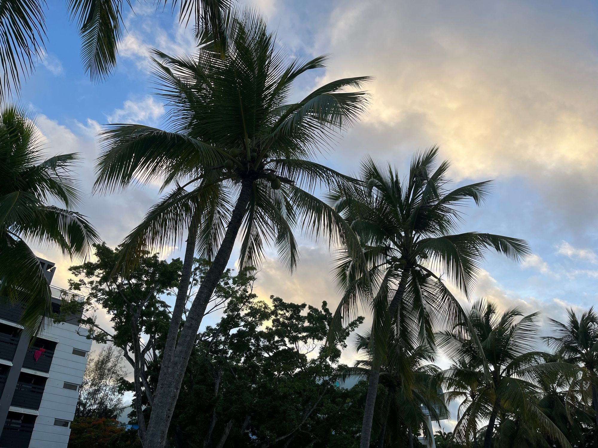 Guadeloupe